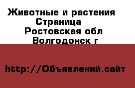  Животные и растения - Страница 7 . Ростовская обл.,Волгодонск г.